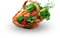 Fruit and Vegetable suppliers, Hampshire